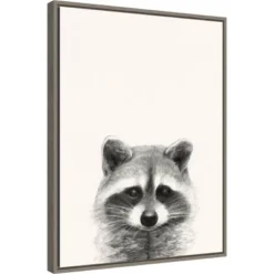 Amanti Art "Animal Mug II" Raccoon Framed Canvas Wall Art by Victoria Borges - 18" x 24" Gray Float Frame