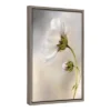 Amanti Art Heavenly Cosmos Framed Canvas Wall Art by Mandy Disher -Amanti Art Shop GUEST c93b959d cd97 4424 96e5 131d2cd5fba3