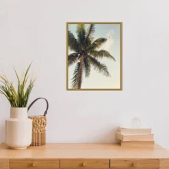 Amanti Art 16" x 20" Coconut Palm by Olivia Joy Framed Canvas Wall Art -Amanti Art Shop GUEST cf904d93 6224 4dce a6b3 c227347ddf64