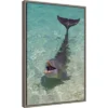 Amanti Art "Dolphin In The Ocean" by Keren Su Framed Canvas Wall Art -Amanti Art Shop GUEST d020dbea 178e 4d05 8f7d 42b7f039195d