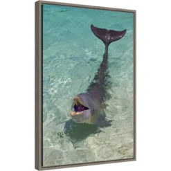 Amanti Art "Dolphin In The Ocean" by Keren Su Framed Canvas Wall Art