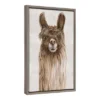 Amanti Art Suri Alpaca I Framed Canvas Wall Art (16" x 23") 1 Amanti Art Suri Alpaca I Framed Canvas Wall Art (16" x 23") -Amanti Art Shop GUEST d7a82270 c8fc 463e 8f7b d856674262d3