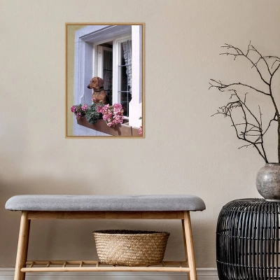 Amanti Art "How Much Is That Dachshund In The Window?" Framed Canvas Wall Art by Ric Ergenbright 8 Amanti Art "How Much Is That Dachshund In The Window?" Framed Canvas Wall Art by Ric Ergenbright - Image 6