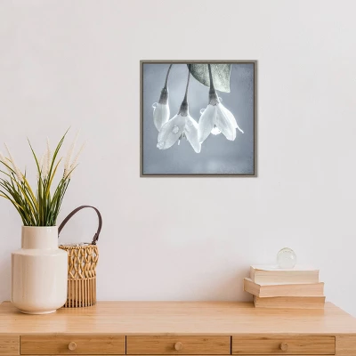 16" X 16" Japanese Snowbell Tree Blossoms By Jaynes Gallery Danita Delimont Framed Canvas Wall Art - Amanti Art 5 16" X 16" Japanese Snowbell Tree Blossoms By Jaynes Gallery Danita Delimont Framed Canvas Wall Art - Amanti Art - Image 3
