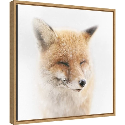 Amanti Art Satisfied Fox by Doris Reindl - 16" x 16" Sylvie Maple Framed Canvas 3 Amanti Art Satisfied Fox by Doris Reindl - 16" x 16" Sylvie Maple Framed Canvas