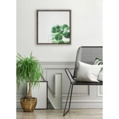 16" X 16" Succulent Simplicity VIII Neutral Framed Canvas Wall Art - Amanti Art 8 16" X 16" Succulent Simplicity VIII Neutral Framed Canvas Wall Art - Amanti Art -Amanti Art Shop GUEST e984bd42 3feb 4f70 92fd cd614ad90bf4