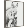 Amanti Art Donkey Portrait V by PH Burchett 16" x 20" Framed Canvas Wall Art 1 Amanti Art Donkey Portrait V by PH Burchett 16" x 20" Framed Canvas Wall Art -Amanti Art Shop GUEST ec24eaff 1c06 4be9 be64 8bf8e21168f5
