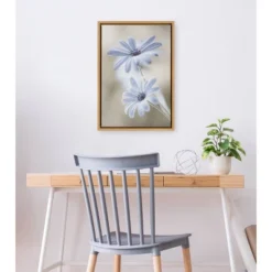 Amanti Art Cape Daisies 16" x 23" Framed Canvas Wall Art by Mandy Disher -Amanti Art Shop GUEST ef499d96 dd41 47db a186 84757babc95d