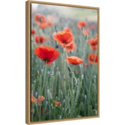 Amanti Art 16" x 23" Poppies In Bloom Framed Canvas Wall Art by Brent Bergherm