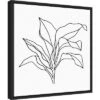 16" X 16" Foliage Contour I By Annie Warren Framed Canvas Wall Art - Amanti Art -Amanti Art Shop GUEST f46ed813 204e 42f4 8c36 1b9ae180283d