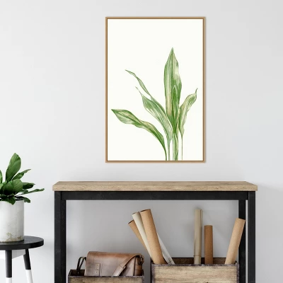Amanti Art Cast Iron Plant II by Errico & Slyp Framed Canvas Wall Art - 23" x 33" 6 Amanti Art Cast Iron Plant II by Errico & Slyp Framed Canvas Wall Art - 23" x 33" - Image 4