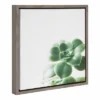 16" X 16" Succulent Simplicity VIII Neutral Framed Canvas Wall Art - Amanti Art -Amanti Art Shop GUEST f629414a 3e1d 43aa a915 91b331b95a2f