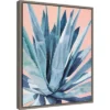 Amanti Art: Agave with Coral by Alana Clumeck - 16" x 20" Framed Canvas -Amanti Art Shop GUEST feb15667 2826 4486 9355 a001a3fc36f1